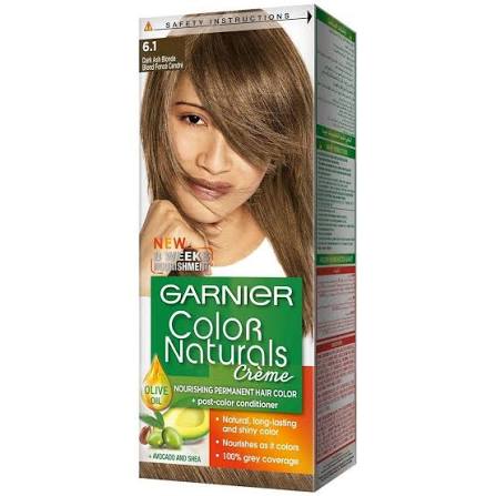 Garnier Dark Blonde # 6.1  . Hair Color
