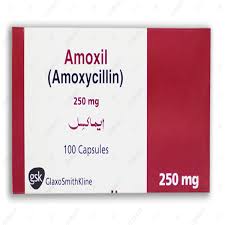 Amoxil   250 mg Cap